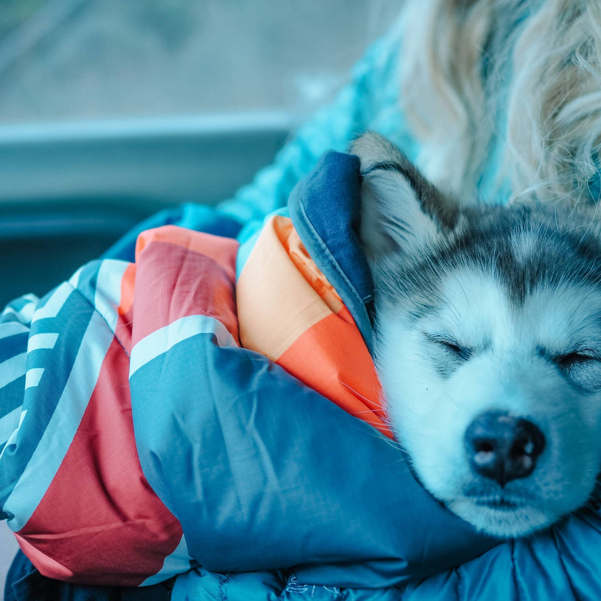 Voited Quilted Premium Recycled Pet Blanket - Camp Vibes Two